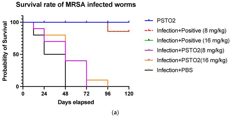 https://cdn.ncbi.nlm.nih.gov/pmc/blobs/f0ff/11360180/66bc874cd41b/pharmaceutics-16-01098-g009a.jpg