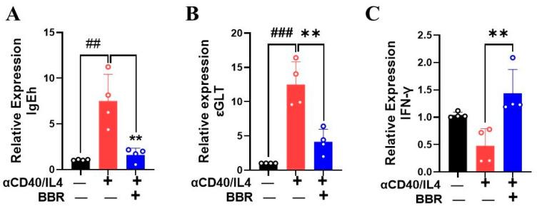 https://cdn.ncbi.nlm.nih.gov/pmc/blobs/f10f/12026231/0958375c5ffb/cells-14-00591-g003.jpg