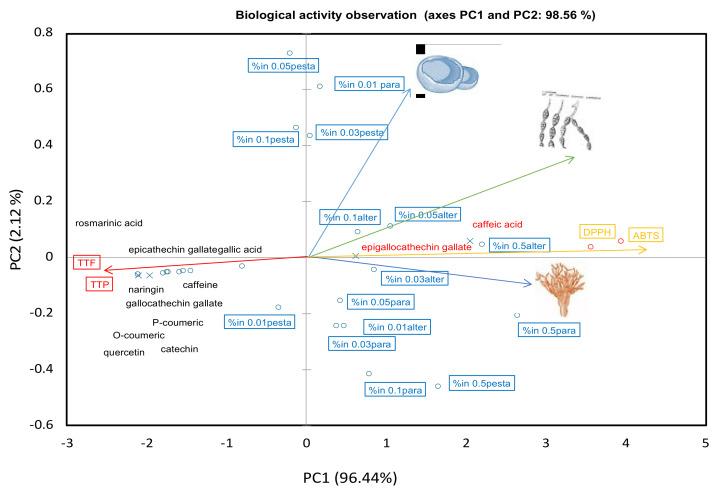 https://cdn.ncbi.nlm.nih.gov/pmc/blobs/f10f/8309451/5cac42c0ba54/plants-10-01422-g005.jpg
