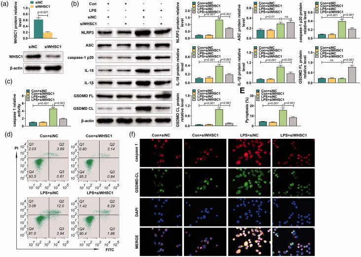 https://cdn.ncbi.nlm.nih.gov/pmc/blobs/f117/8504266/c3d2f258bd26/10.1177_17534259211035426-fig4.jpg