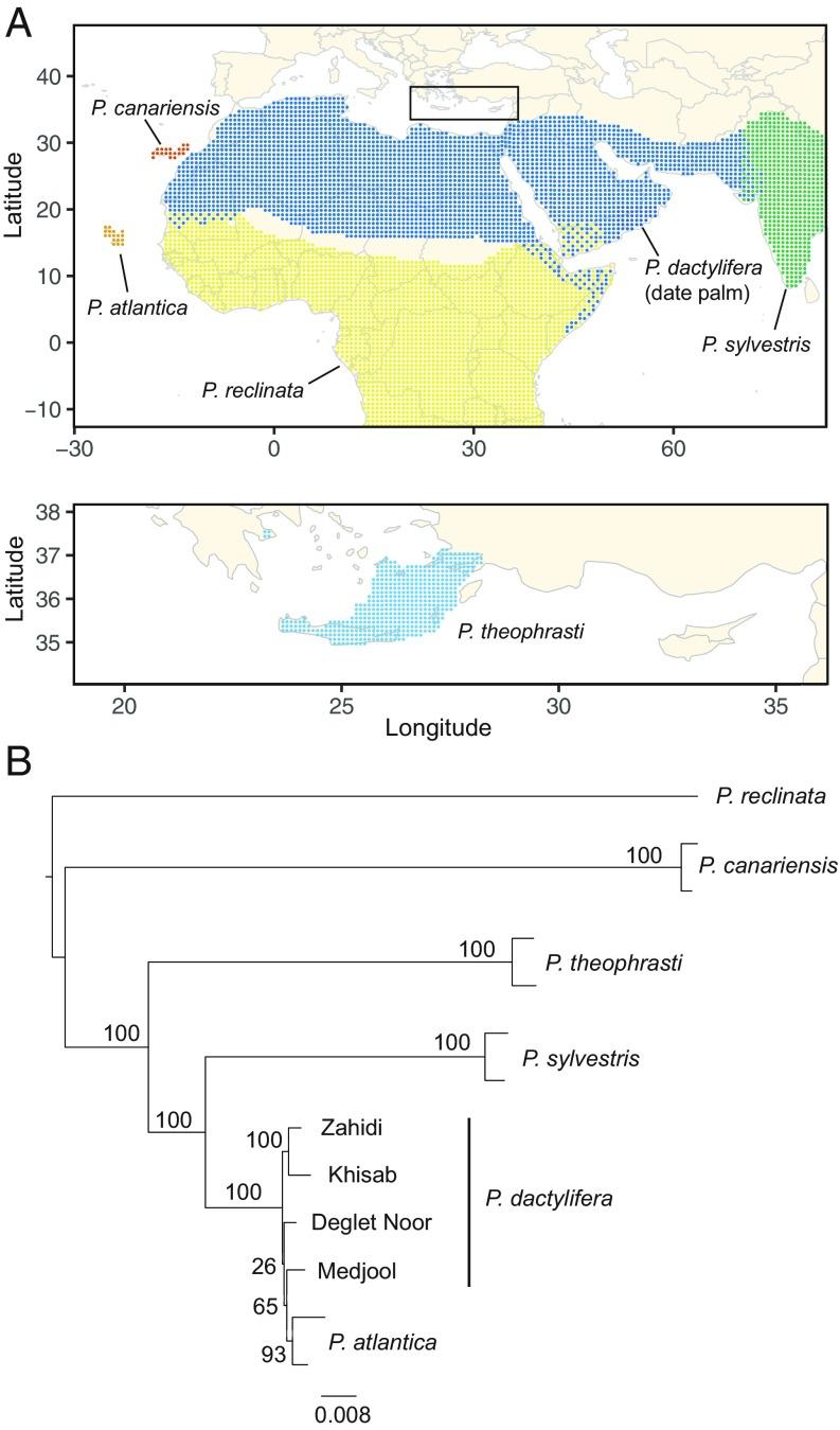 https://cdn.ncbi.nlm.nih.gov/pmc/blobs/f145/6358688/32ed9cf340e7/pnas.1817453116fig01.jpg