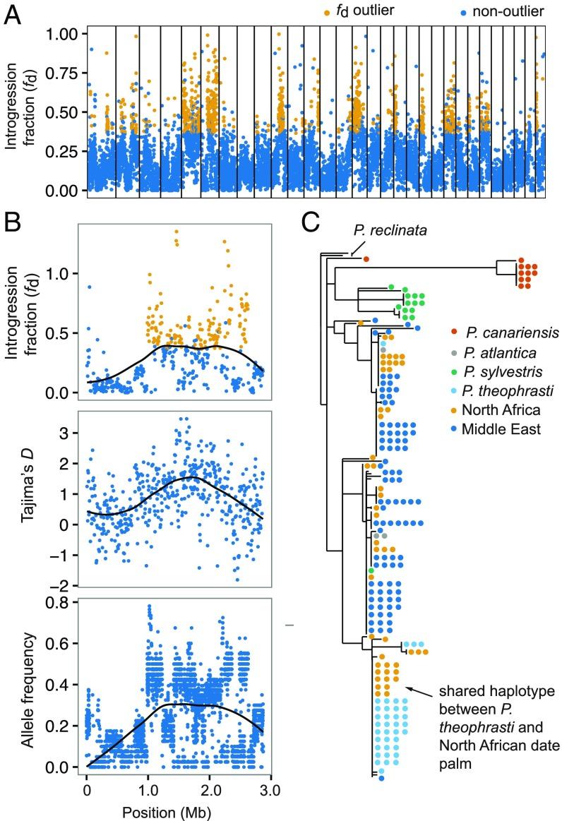 https://cdn.ncbi.nlm.nih.gov/pmc/blobs/f145/6358688/99abcf721b29/pnas.1817453116fig04.jpg