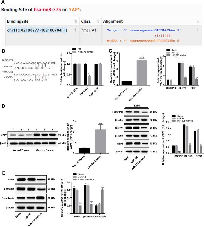 https://cdn.ncbi.nlm.nih.gov/pmc/blobs/f15e/8113360/2a5204deeb7f/10.1177_1533033820980115-fig3.jpg