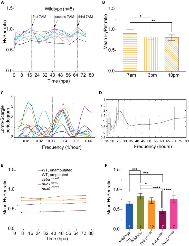 https://cdn.ncbi.nlm.nih.gov/pmc/blobs/f160/9950526/d0c2ec55fcd8/gr5.jpg