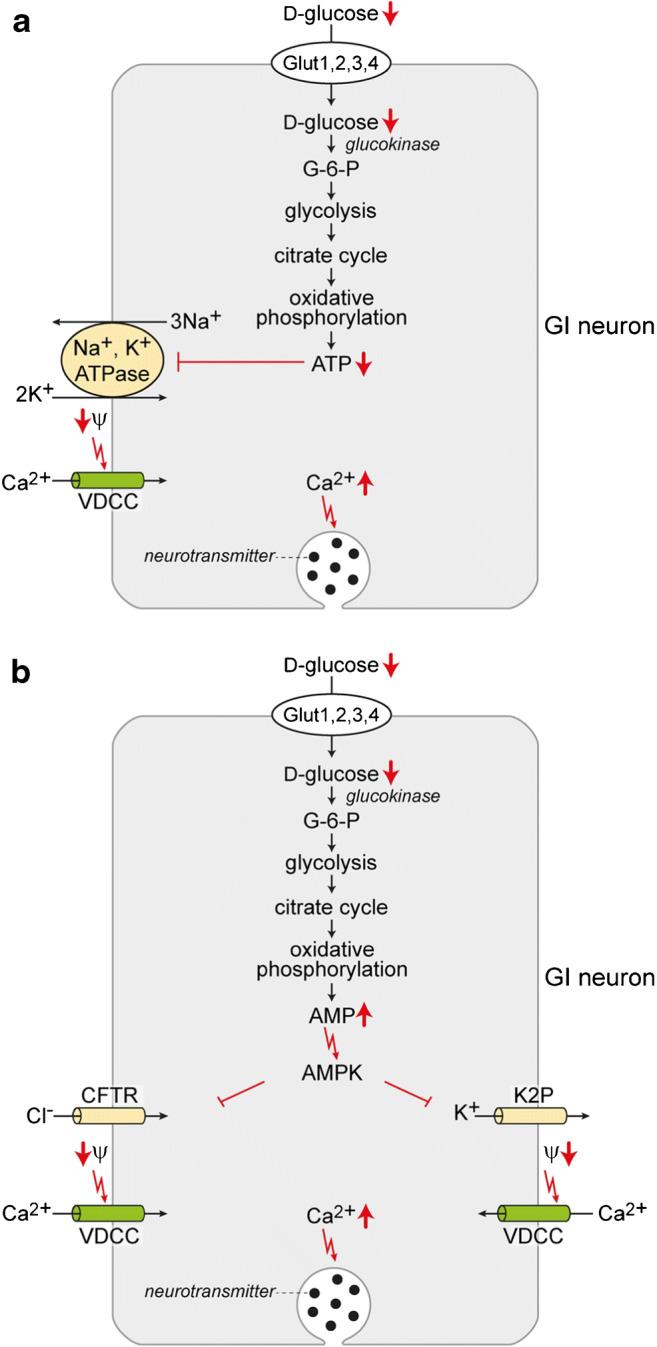 https://cdn.ncbi.nlm.nih.gov/pmc/blobs/f175/7462931/2897d7d6d68d/424_2020_2441_Fig5_HTML.jpg