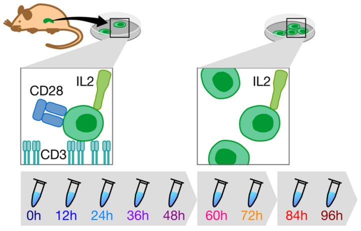 https://cdn.ncbi.nlm.nih.gov/pmc/blobs/f178/7823996/3ecf88b7d06e/metabolites-11-00012-g001.jpg