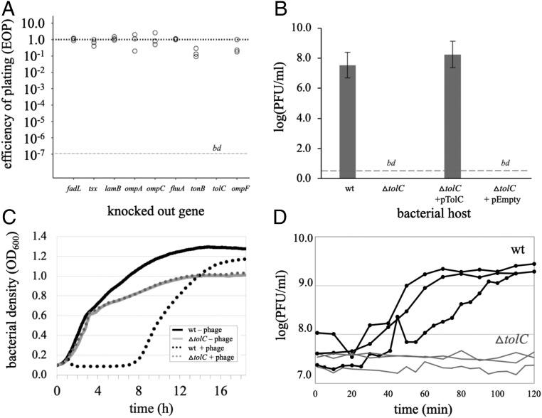 https://cdn.ncbi.nlm.nih.gov/pmc/blobs/f183/7260982/2faf45324820/pnas.1919888117fig01.jpg