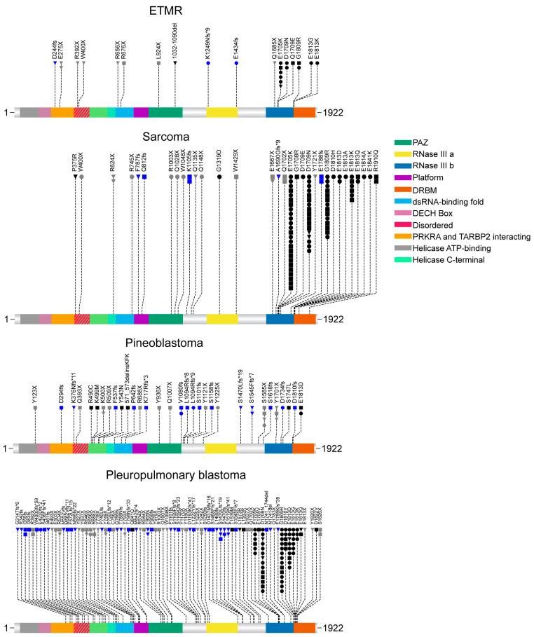 https://cdn.ncbi.nlm.nih.gov/pmc/blobs/f191/12071111/fbfeb3482630/cancers-17-01513-g002.jpg