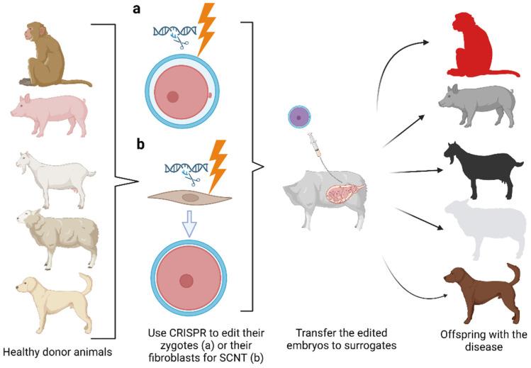 https://cdn.ncbi.nlm.nih.gov/pmc/blobs/f19d/10136740/a5b83975b947/cells-12-01103-g006.jpg