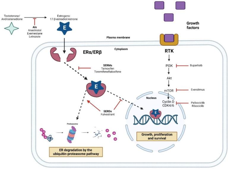 https://cdn.ncbi.nlm.nih.gov/pmc/blobs/f19e/10610388/414d38368b7a/pharmaceuticals-16-01466-g004.jpg