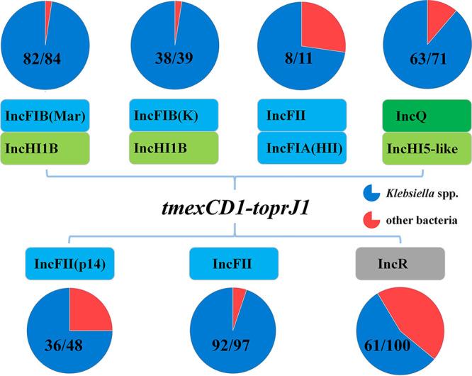 https://cdn.ncbi.nlm.nih.gov/pmc/blobs/f1b3/8547460/9d35859e7a67/msystems.00702-21-f003.jpg
