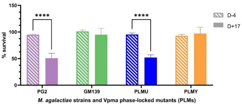 https://cdn.ncbi.nlm.nih.gov/pmc/blobs/f1ce/9501237/60af79aa738a/pathogens-11-01036-g002.jpg