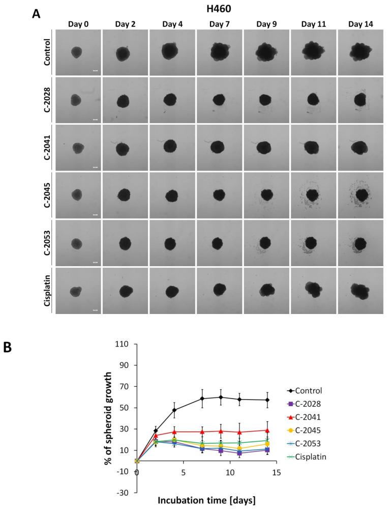 https://cdn.ncbi.nlm.nih.gov/pmc/blobs/f1d4/8538688/8e38f9f0e78e/molecules-26-06262-g003.jpg