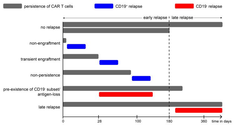 https://cdn.ncbi.nlm.nih.gov/pmc/blobs/f1e3/9024694/4c28eb6a2e74/jcm-11-02158-g006.jpg