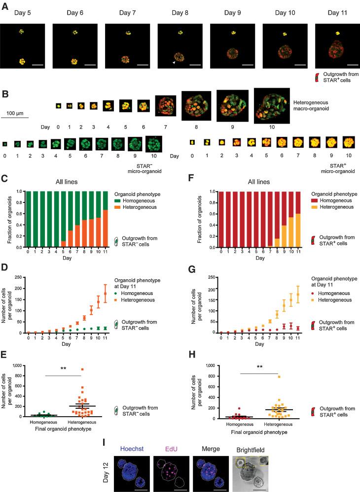 https://cdn.ncbi.nlm.nih.gov/pmc/blobs/f1ff/9381095/866455dabcef/1953fig3.jpg