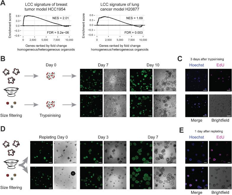 https://cdn.ncbi.nlm.nih.gov/pmc/blobs/f1ff/9381095/8d4358421f1f/1953fig5.jpg