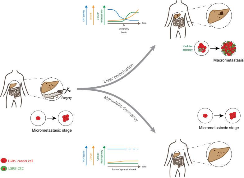 https://cdn.ncbi.nlm.nih.gov/pmc/blobs/f1ff/9381095/cd2a773d63c3/1953fig8.jpg