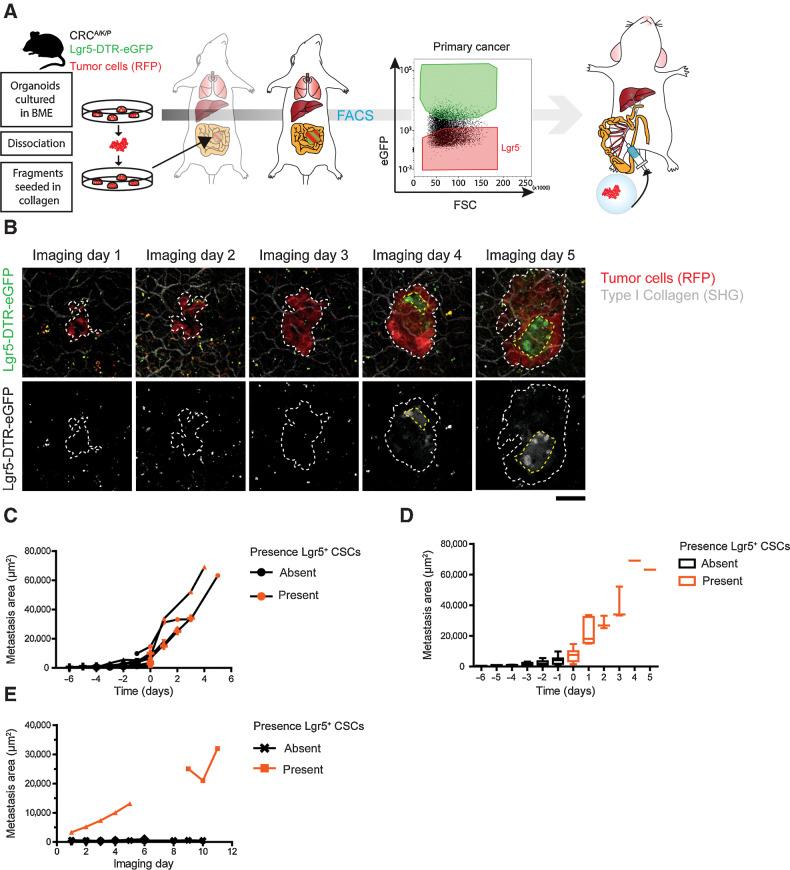 https://cdn.ncbi.nlm.nih.gov/pmc/blobs/f1ff/9381095/d9b8f01cb68a/1953fig2.jpg