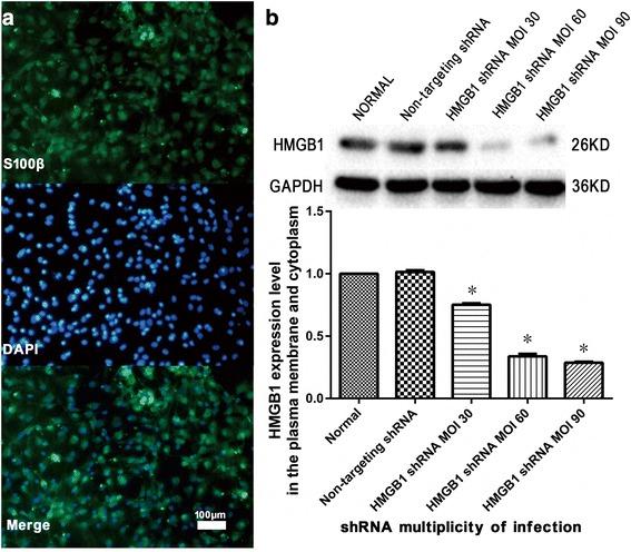 https://cdn.ncbi.nlm.nih.gov/pmc/blobs/f20f/5702193/85de0256dcd3/12974_2017_1008_Fig1_HTML.jpg