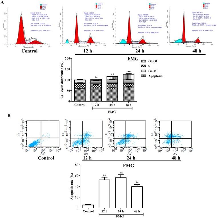 https://cdn.ncbi.nlm.nih.gov/pmc/blobs/f22a/5731899/4656809dc11d/oncotarget-08-101599-g003.jpg