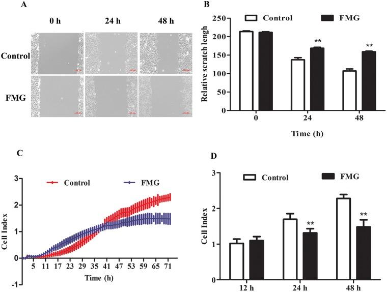 https://cdn.ncbi.nlm.nih.gov/pmc/blobs/f22a/5731899/59f322e0d68a/oncotarget-08-101599-g004.jpg