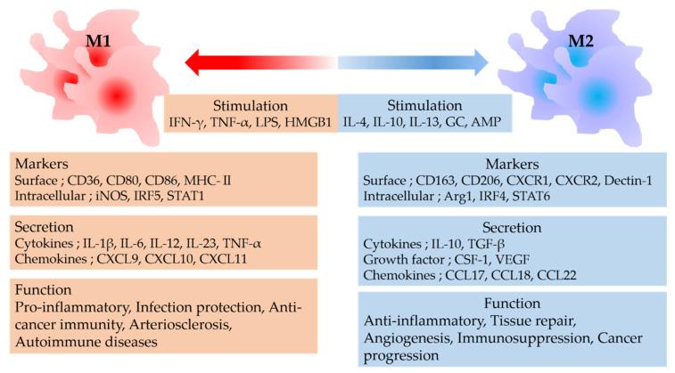 https://cdn.ncbi.nlm.nih.gov/pmc/blobs/f235/8745226/073455862bf3/ijms-23-00144-g001.jpg