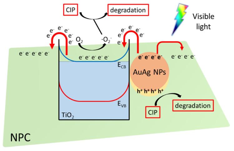 https://cdn.ncbi.nlm.nih.gov/pmc/blobs/f250/9329855/63ca25d30e0f/nanomaterials-12-02524-g008.jpg