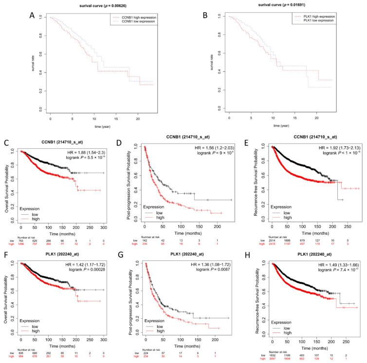 https://cdn.ncbi.nlm.nih.gov/pmc/blobs/f254/9027215/5280c3b1fe61/genes-13-00654-g006.jpg