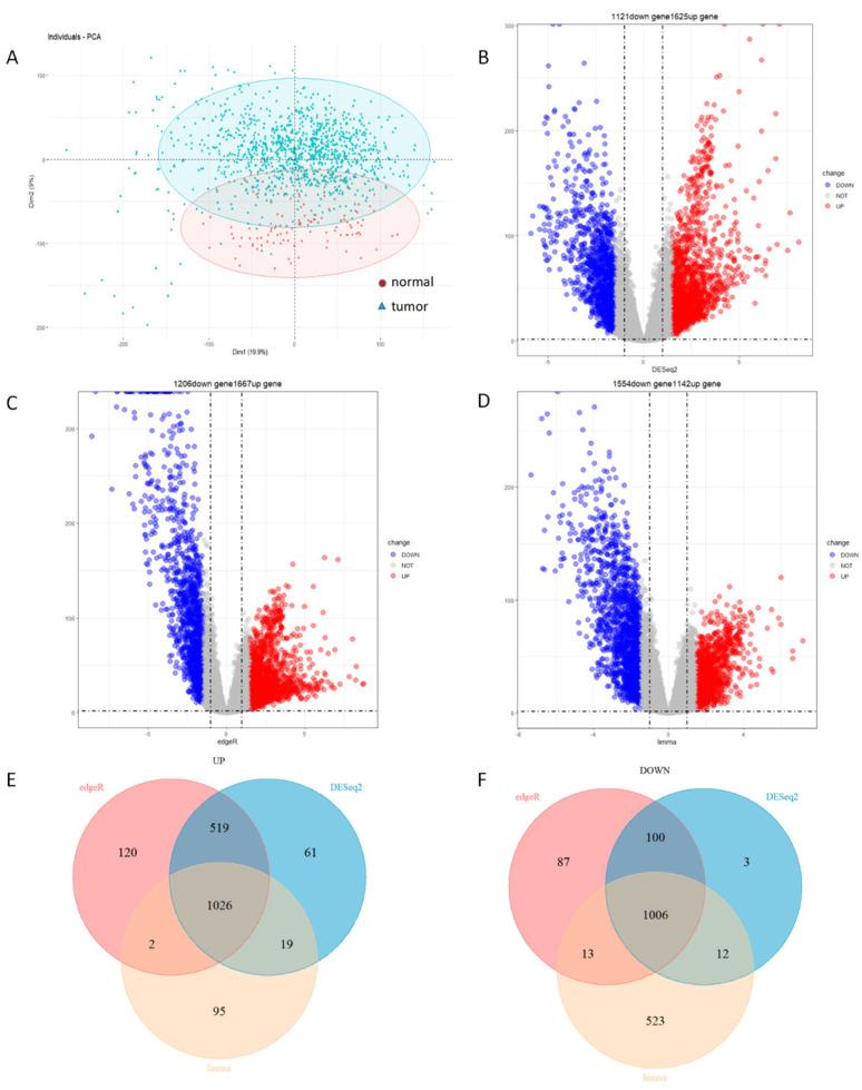 https://cdn.ncbi.nlm.nih.gov/pmc/blobs/f254/9027215/7903fe5c7120/genes-13-00654-g001.jpg