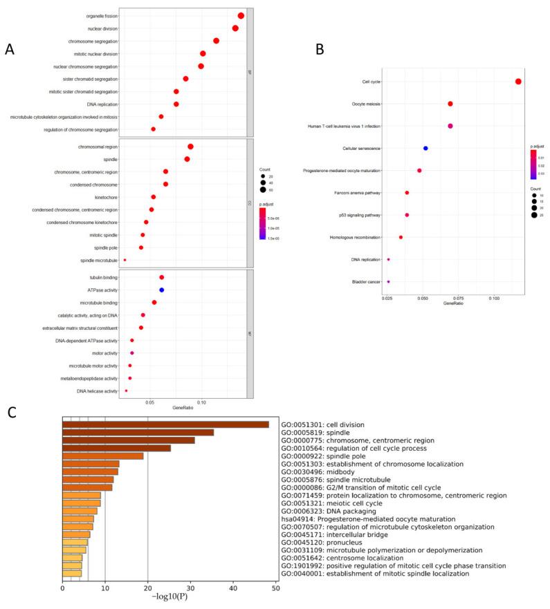 https://cdn.ncbi.nlm.nih.gov/pmc/blobs/f254/9027215/b6afc138f8fc/genes-13-00654-g007.jpg