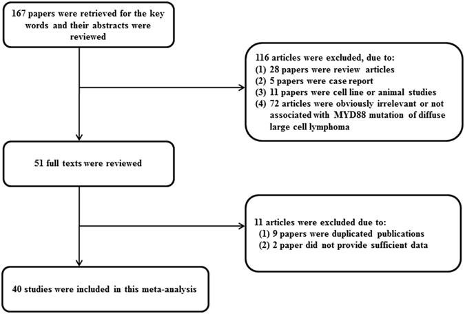 https://cdn.ncbi.nlm.nih.gov/pmc/blobs/f25f/5431939/a1094c77337d/41598_2017_1998_Fig6_HTML.jpg