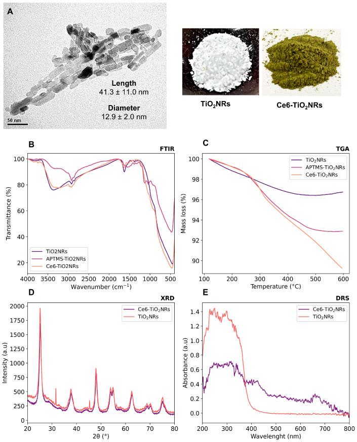 https://cdn.ncbi.nlm.nih.gov/pmc/blobs/f28e/11173822/08d366565560/nanomaterials-14-00933-g002.jpg