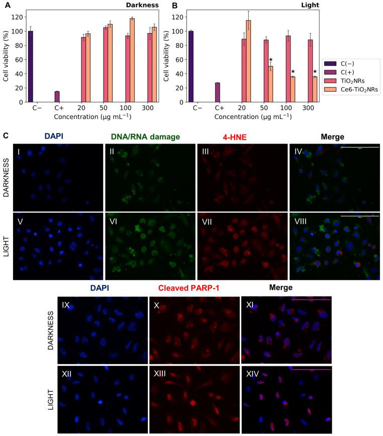 https://cdn.ncbi.nlm.nih.gov/pmc/blobs/f28e/11173822/865814c94f8d/nanomaterials-14-00933-g005.jpg