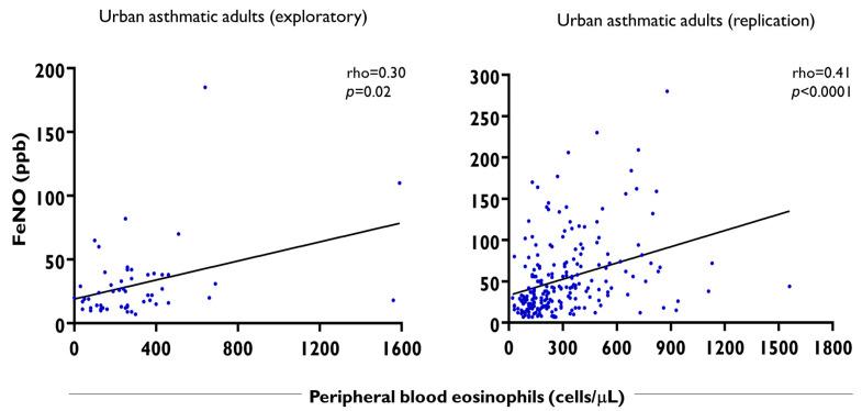 https://cdn.ncbi.nlm.nih.gov/pmc/blobs/f2a0/12429065/0b38d4ef0fbf/ijms-26-08344-g007.jpg