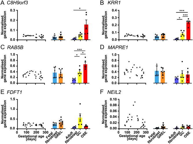https://cdn.ncbi.nlm.nih.gov/pmc/blobs/f2a0/9782414/659bfb096fc0/RAF-22-0068fig3.jpg