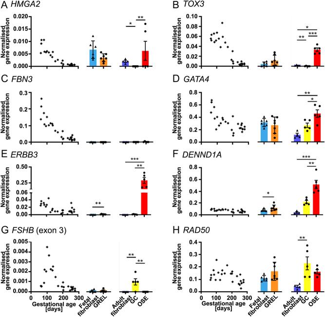 https://cdn.ncbi.nlm.nih.gov/pmc/blobs/f2a0/9782414/c357d5d90131/RAF-22-0068fig1.jpg