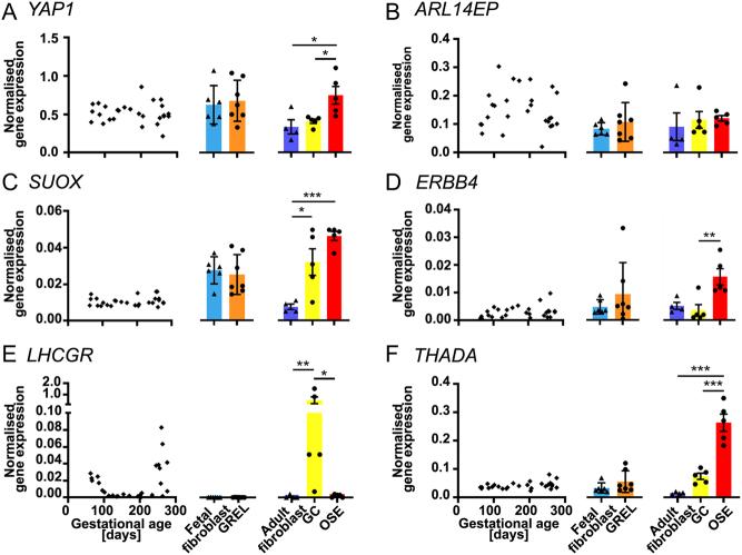https://cdn.ncbi.nlm.nih.gov/pmc/blobs/f2a0/9782414/f6a2d50c8dcd/RAF-22-0068fig4.jpg