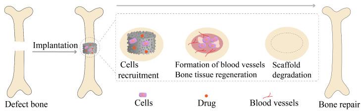 https://cdn.ncbi.nlm.nih.gov/pmc/blobs/f2b7/10534890/ab508152b51c/molecules-28-06652-g004.jpg
