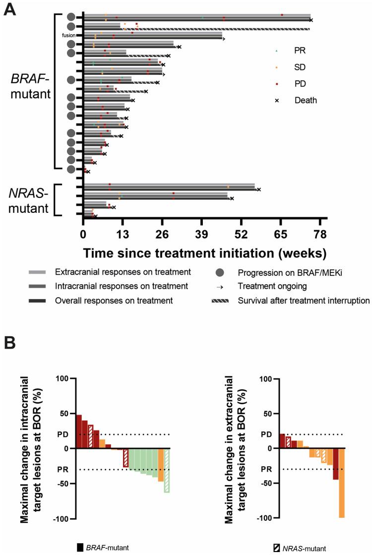 https://cdn.ncbi.nlm.nih.gov/pmc/blobs/f2cd/11640054/1228404d69ae/cancers-16-04083-g002.jpg