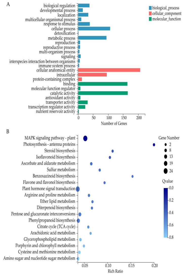 https://cdn.ncbi.nlm.nih.gov/pmc/blobs/f2f5/9367363/5e545adb3f56/cells-11-02338-g004.jpg