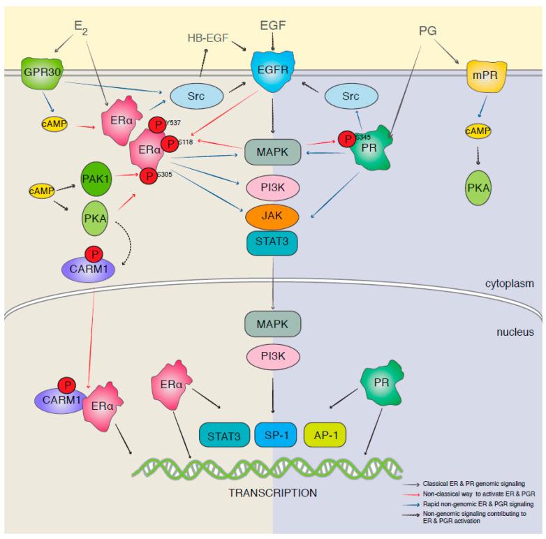 https://cdn.ncbi.nlm.nih.gov/pmc/blobs/f2f8/10526846/6da94b800e21/biomolecules-13-01306-g001.jpg
