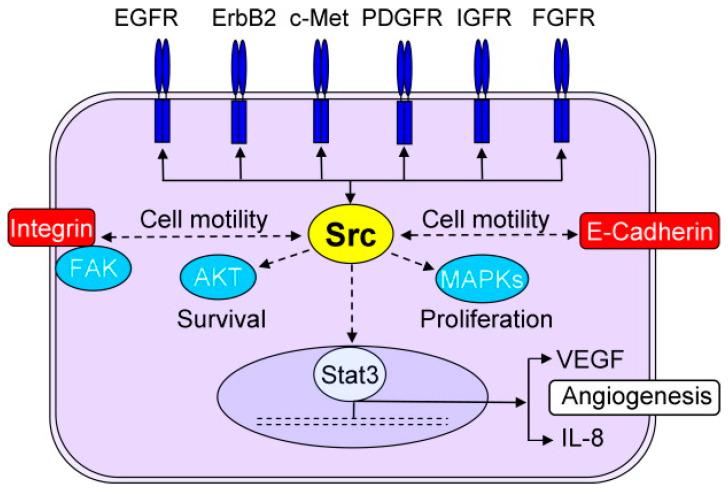 https://cdn.ncbi.nlm.nih.gov/pmc/blobs/f2f8/10526846/ea510a807671/biomolecules-13-01306-g004.jpg