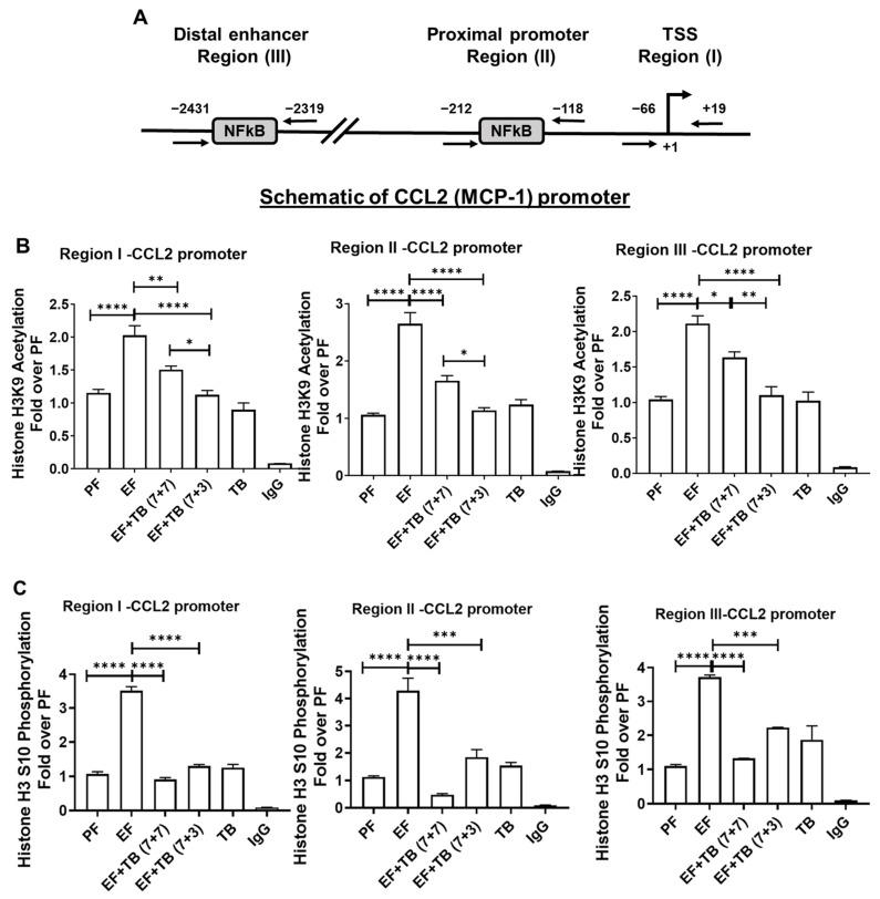 https://cdn.ncbi.nlm.nih.gov/pmc/blobs/f310/10610222/1869f920b579/nutrients-15-04397-g003.jpg