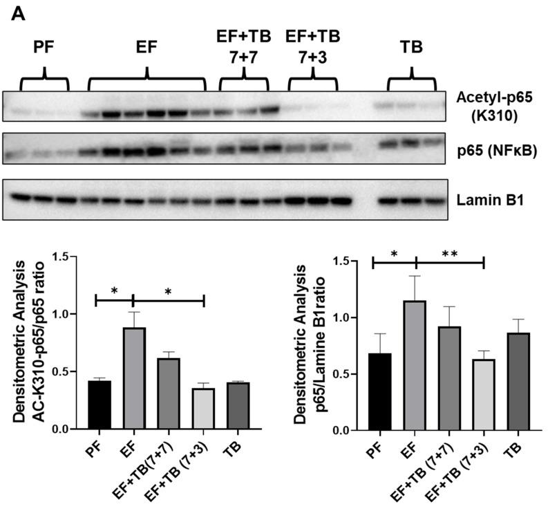 https://cdn.ncbi.nlm.nih.gov/pmc/blobs/f310/10610222/98388cffd91d/nutrients-15-04397-g006a.jpg