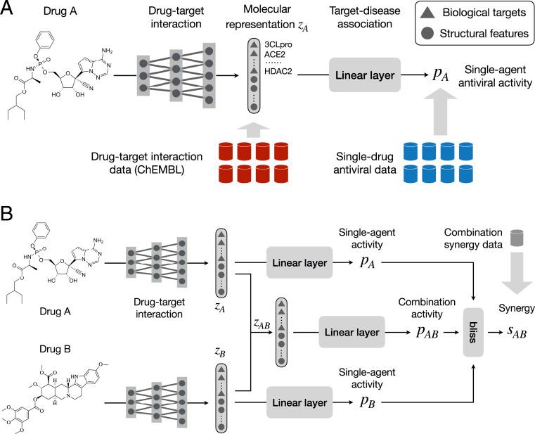 https://cdn.ncbi.nlm.nih.gov/pmc/blobs/f31c/8488647/ca86ef2d2964/pnas.2105070118fig01.jpg
