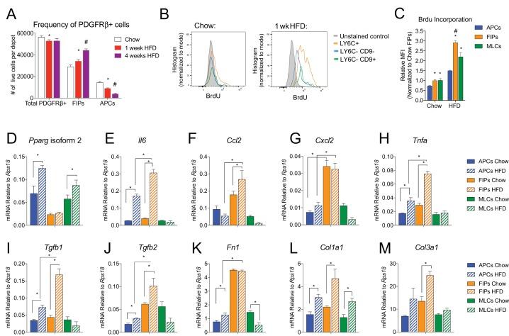 https://cdn.ncbi.nlm.nih.gov/pmc/blobs/f320/6167054/3f4153a1e2a0/elife-39636-fig7.jpg