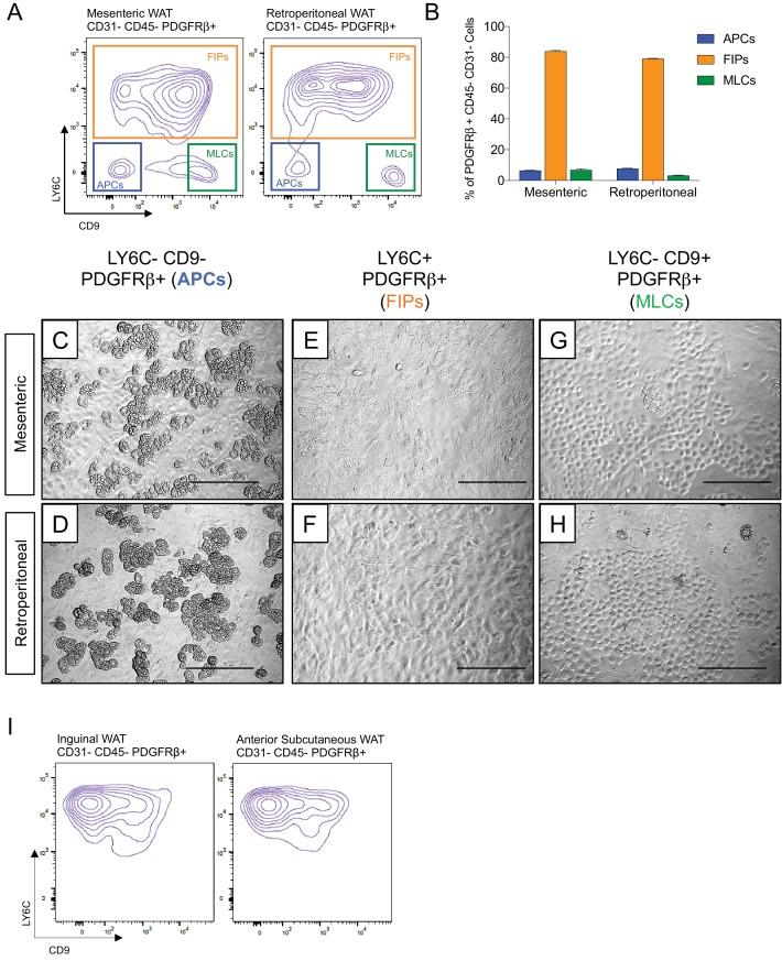 https://cdn.ncbi.nlm.nih.gov/pmc/blobs/f320/6167054/b2b185d28ef3/elife-39636-fig4.jpg