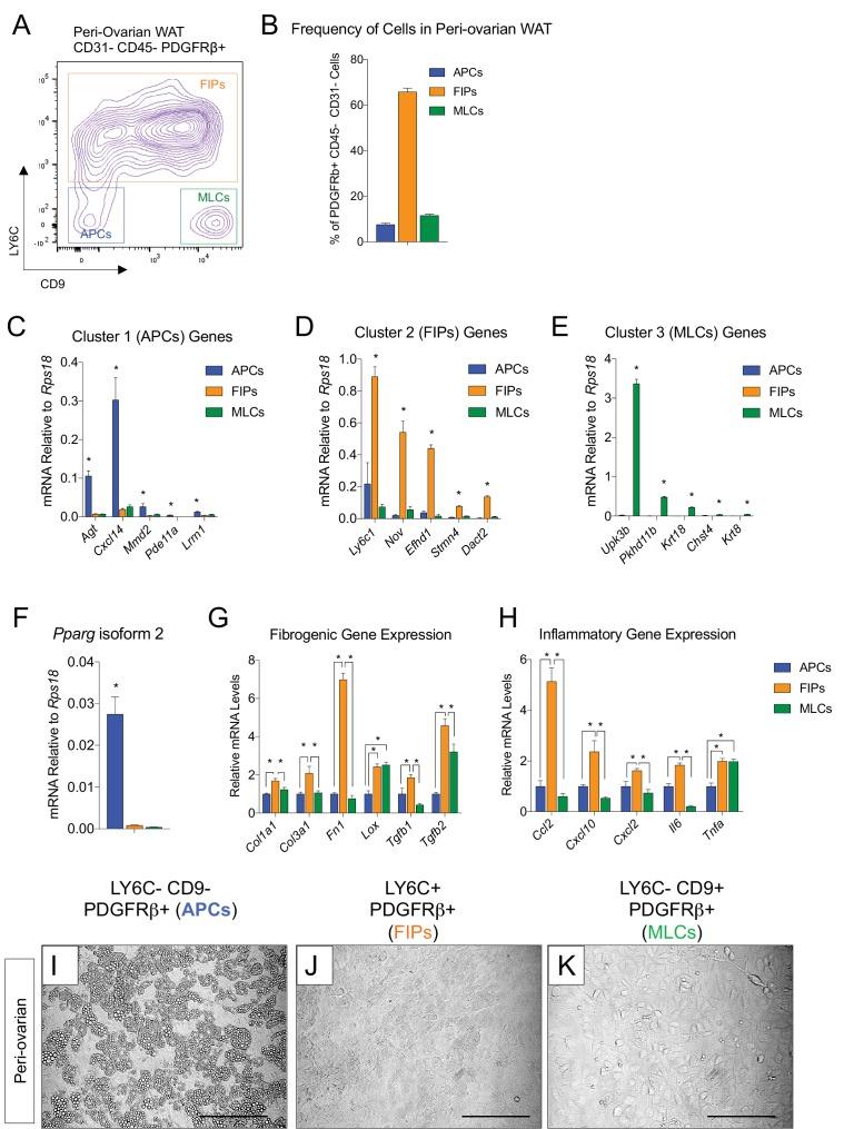 https://cdn.ncbi.nlm.nih.gov/pmc/blobs/f320/6167054/e9efc5fc60f0/elife-39636-fig4-figsupp1.jpg
