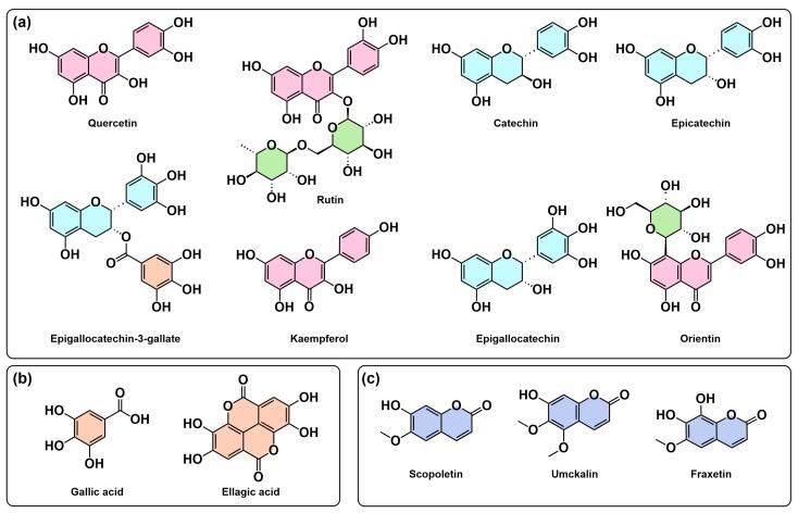 https://cdn.ncbi.nlm.nih.gov/pmc/blobs/f33a/12348979/5b730f253ccf/molecules-30-03198-g003.jpg