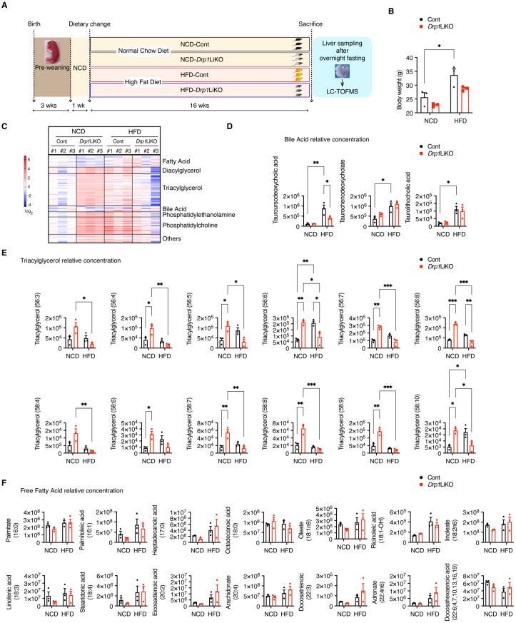 https://cdn.ncbi.nlm.nih.gov/pmc/blobs/f383/12109831/a1dbd4983744/cells-14-00679-g003.jpg